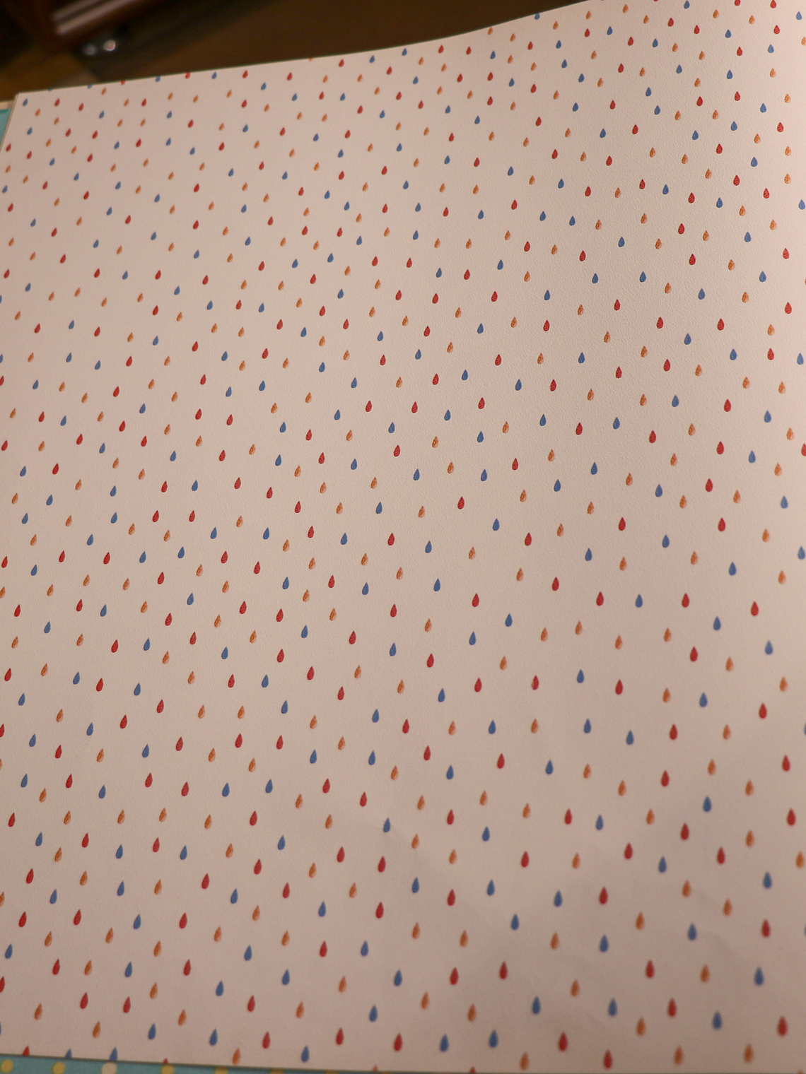 629402-LES PETITS CURIEUX - (0CM) 3