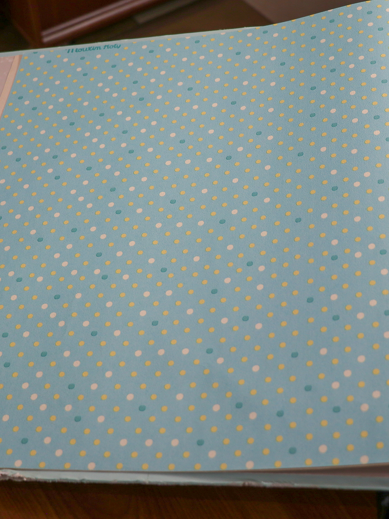 629403-LES PETITS CURIEUX - (26.5CM)  1