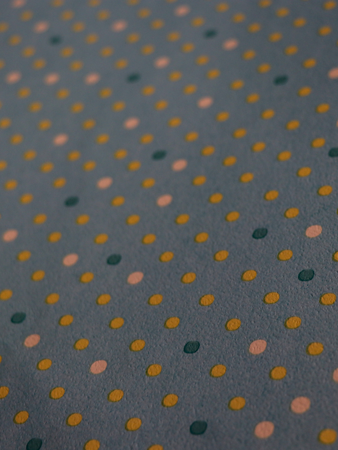 629403-LES PETITS CURIEUX - (26.5CM)  2