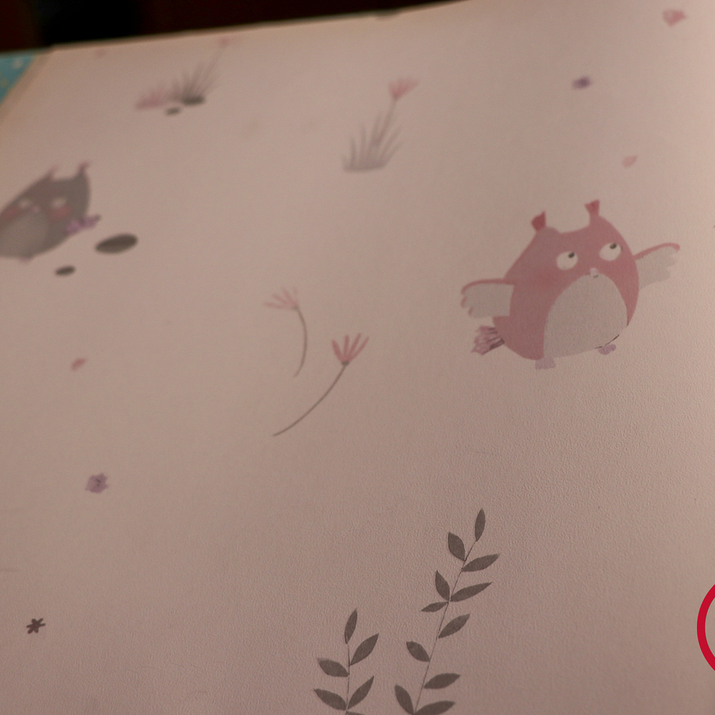 657402 - LES PETITS CURIEUX - (32CM)   2