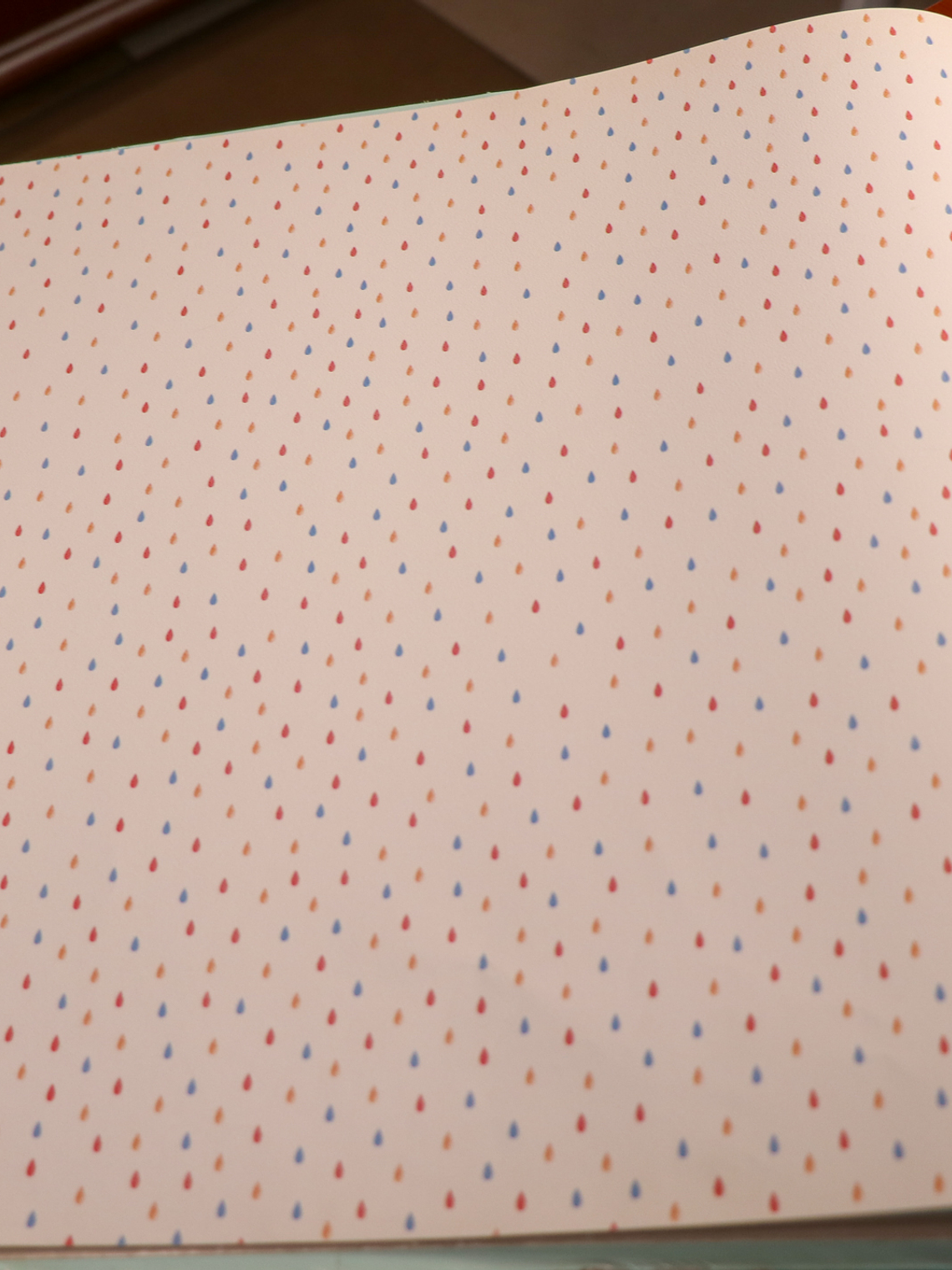 658402-LES PETITS CURIEUX- (0CM)   1