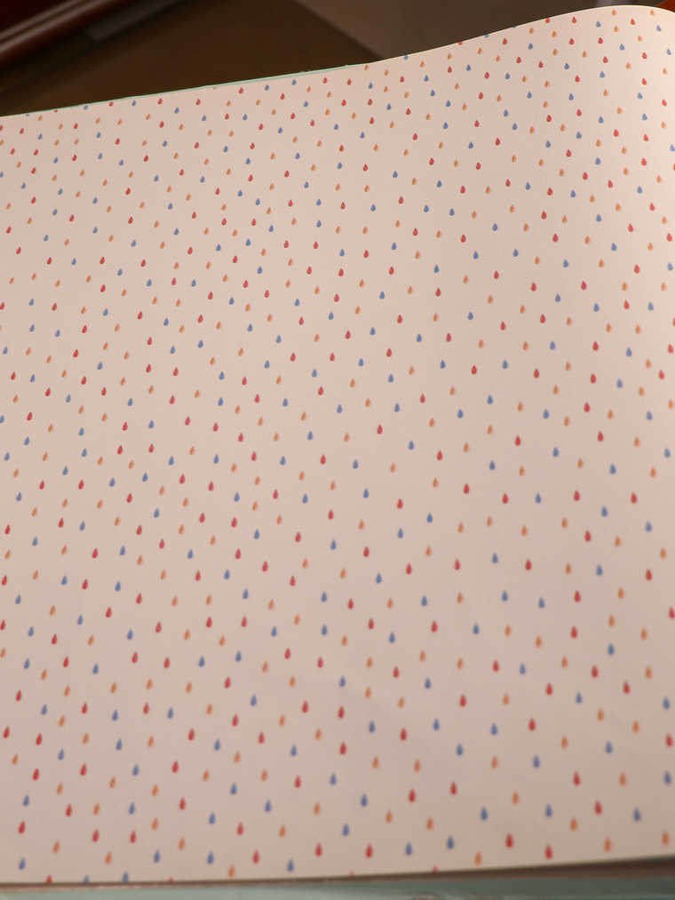 658402-LES PETITS CURIEUX- (0CM)   1