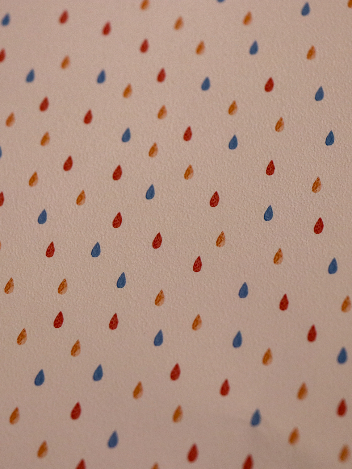 658402-LES PETITS CURIEUX- (0CM)   2