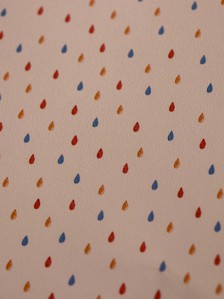 658402-LES PETITS CURIEUX- (0CM)   2