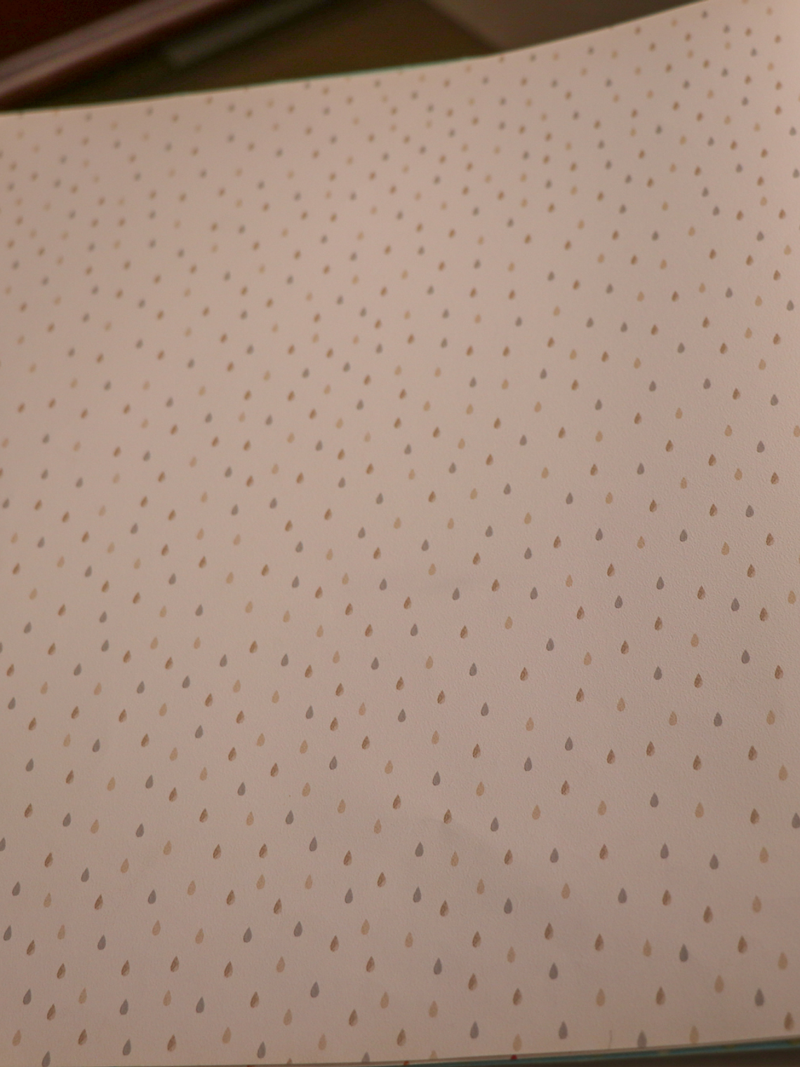 658404-LES PETITS CURIEUX- (0CM)   1