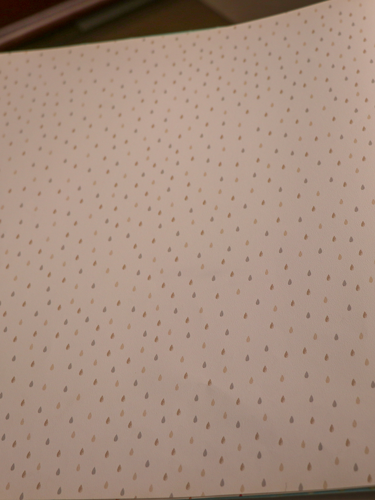 658404-LES PETITS CURIEUX- (0CM)   1