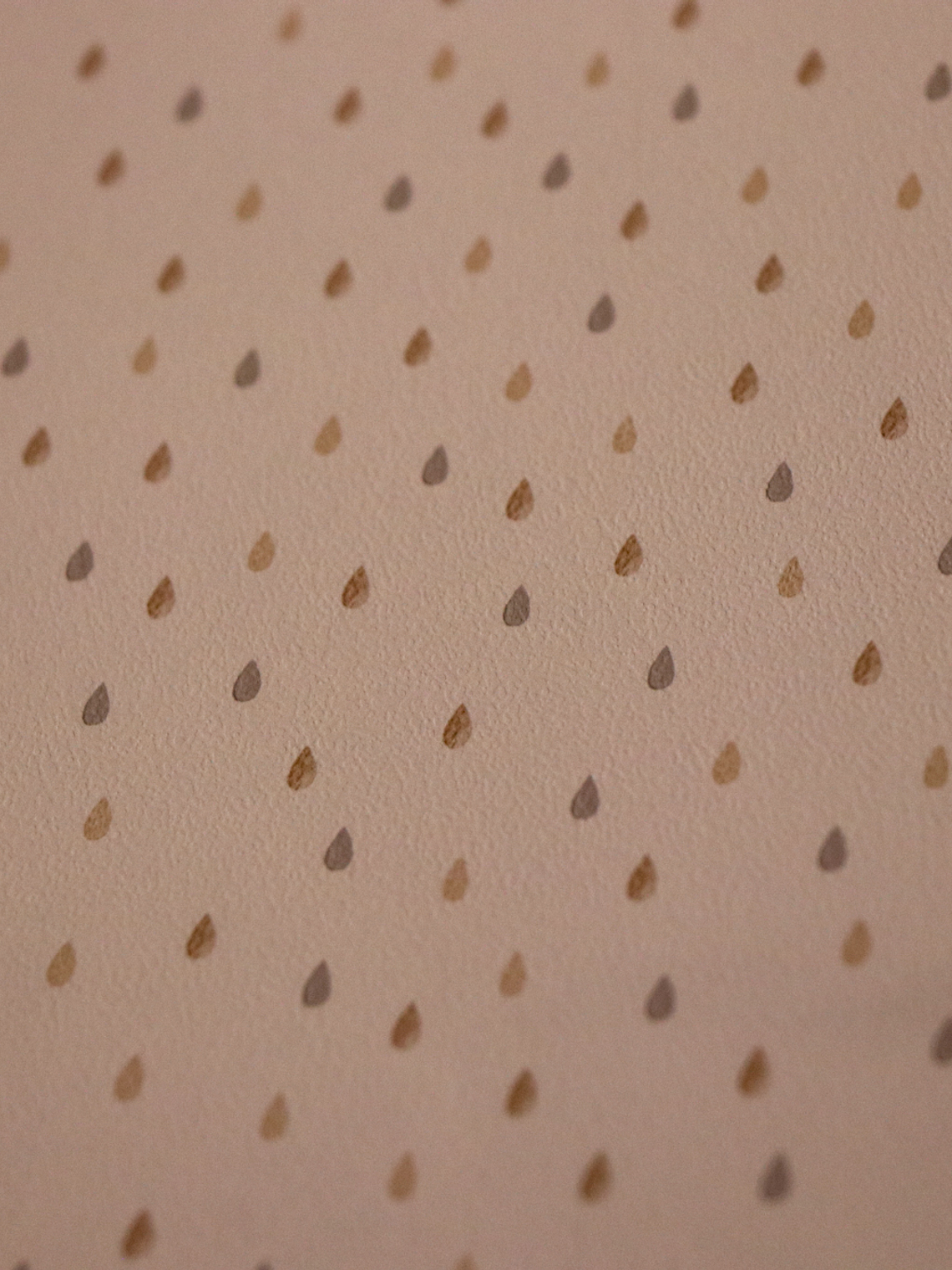 658404-LES PETITS CURIEUX- (0CM)   2