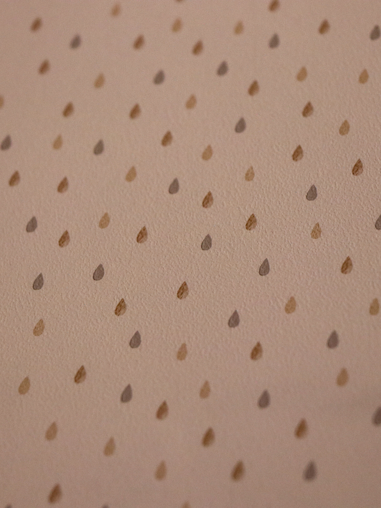 658404-LES PETITS CURIEUX- (0CM)   2