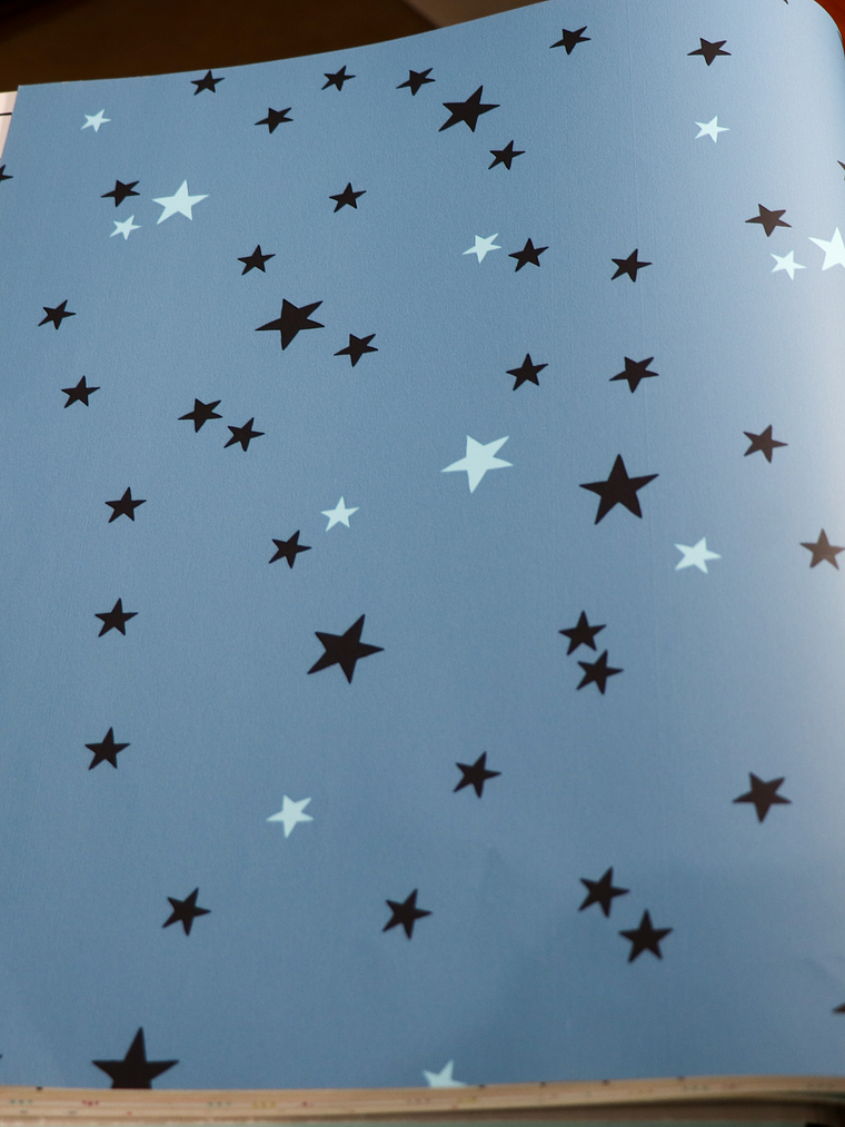 11160101-LES PETITS CURIEUX- (26.5CM)   1