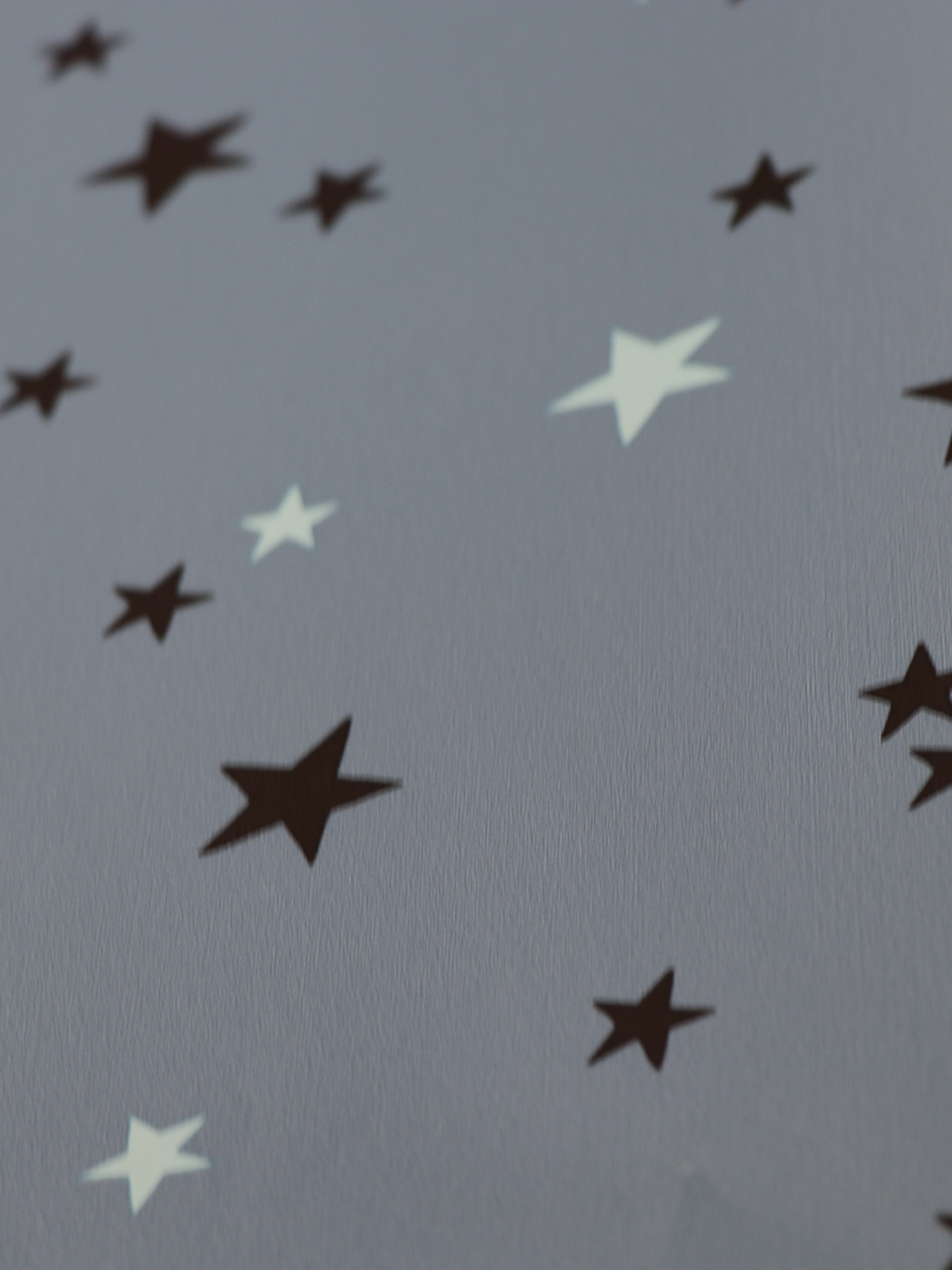 11160101-LES PETITS CURIEUX- (26.5CM)   2