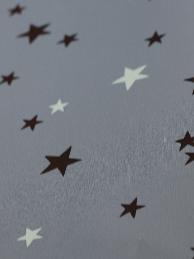 11160101-LES PETITS CURIEUX- (26.5CM)   2