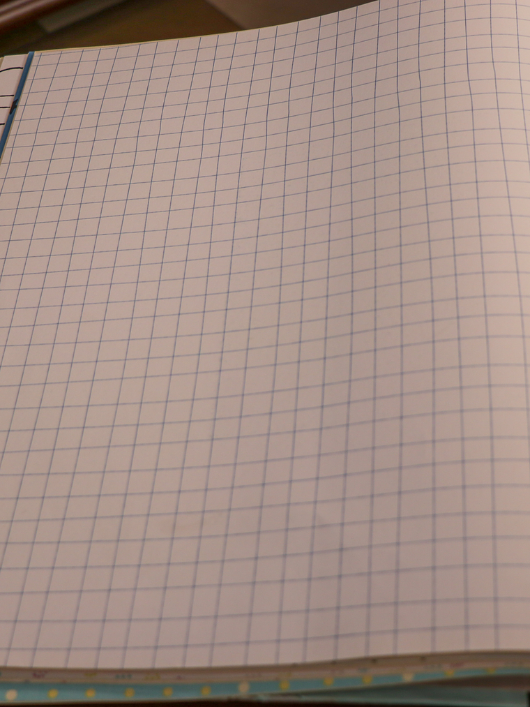 11160401-LES PETITS CURIEUX- (53CM)     1