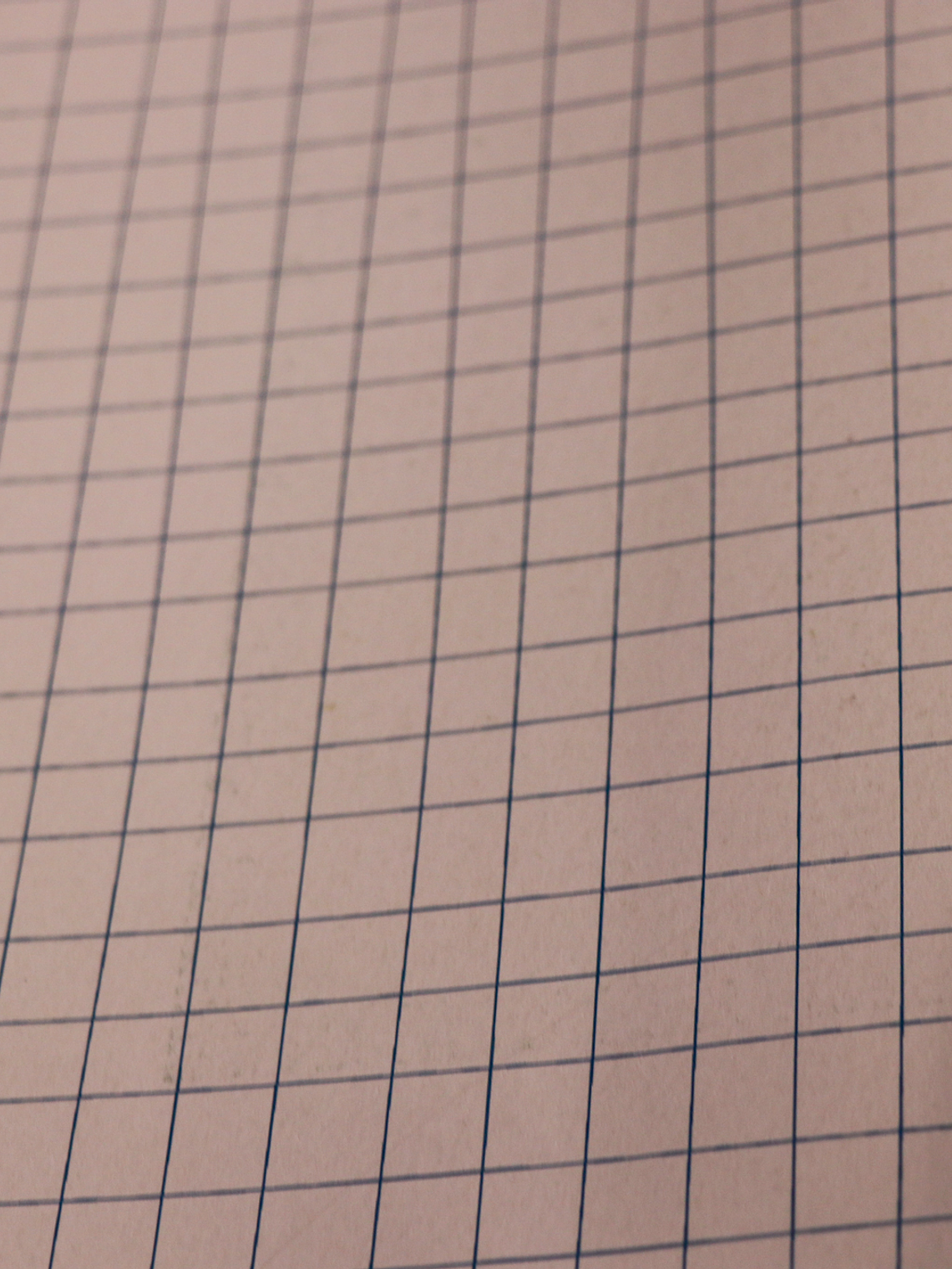 11160401-LES PETITS CURIEUX- (53CM)     2