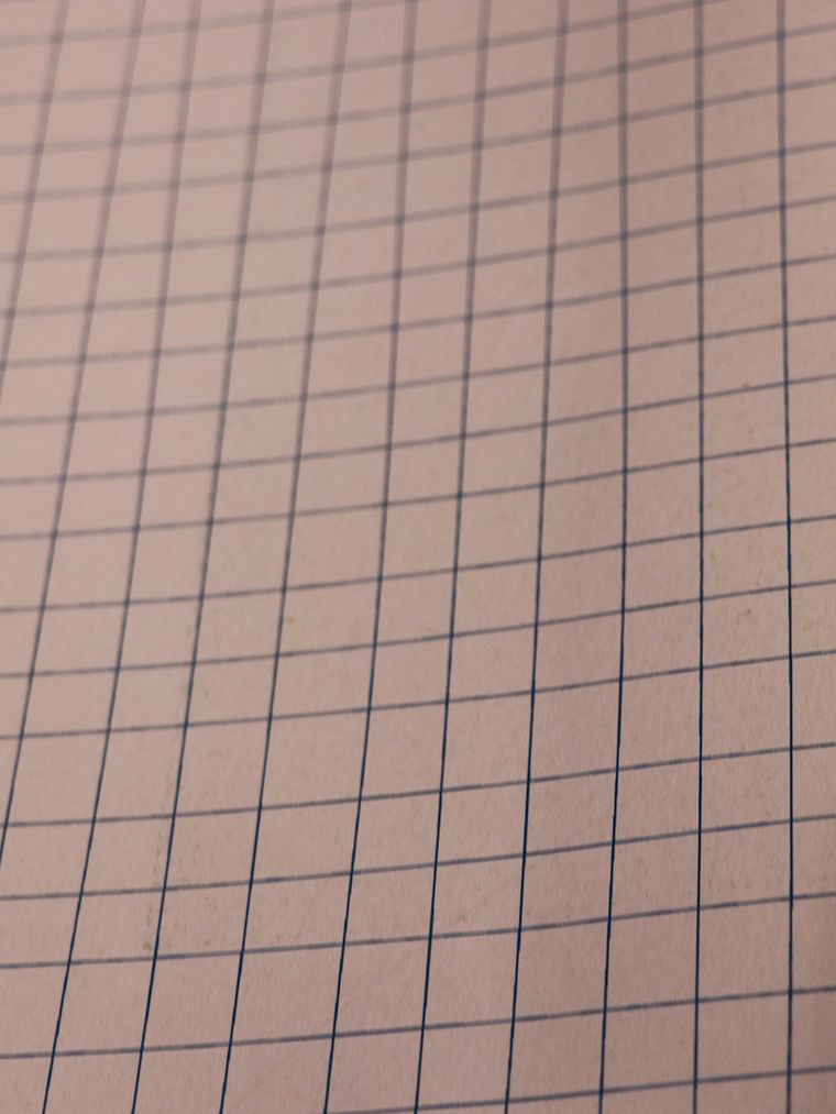 11160401-LES PETITS CURIEUX- (53CM)     2