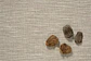 RETAIL - HOGAR - thumbnail 5