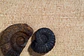 RETAIL - HOGAR - thumbnail 12