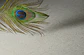RETAIL - HOGAR - thumbnail 34