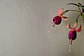 RETAIL - HOGAR - thumbnail 43