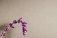 RETAIL - HOGAR - thumbnail 44
