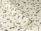 COSY - 486148 - thumbnail 4