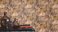 COSY - 600650 - Miniatura 1