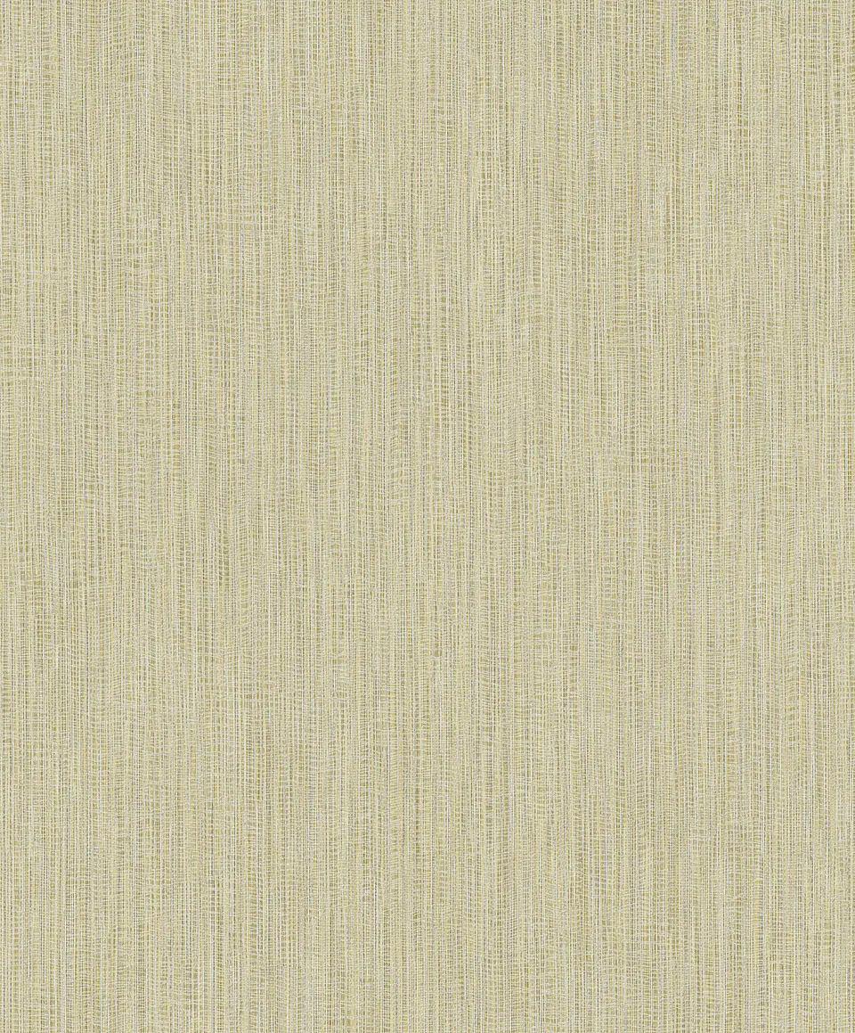 Fibers- 25855 1