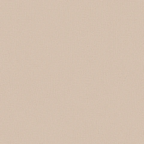 Room 137 - 78653