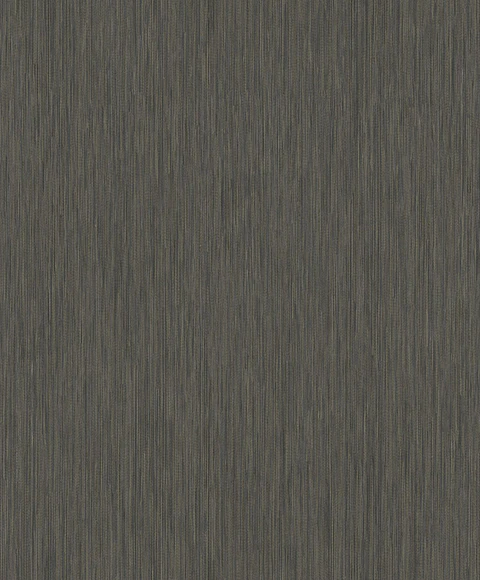 Room 137 - 78704
