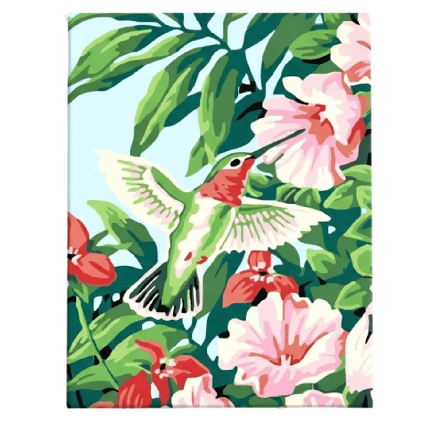 Kit Pintura Con Números El Pincel Colibri  1