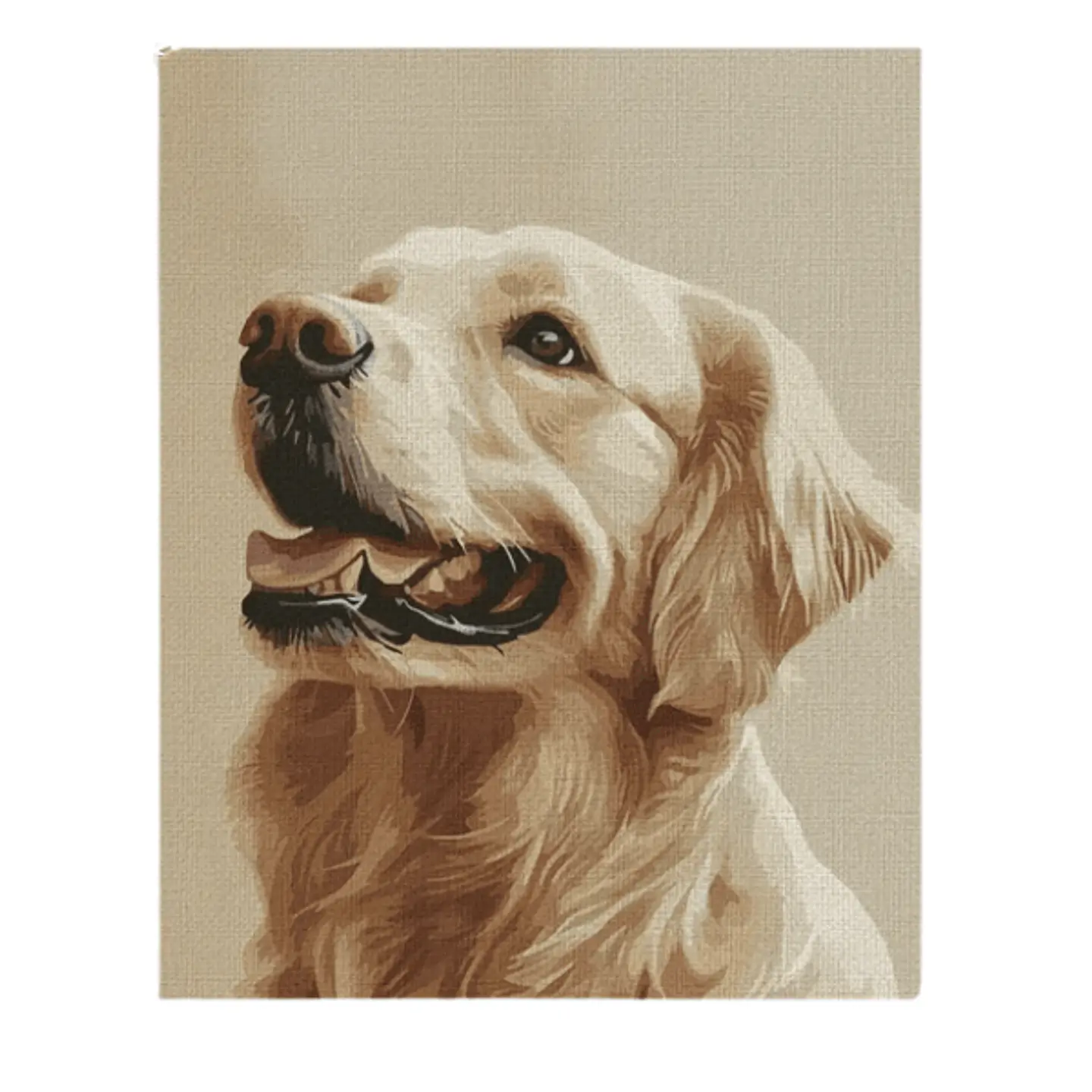 Kit Pintura Con Números El Pincel Golden Retriever  1