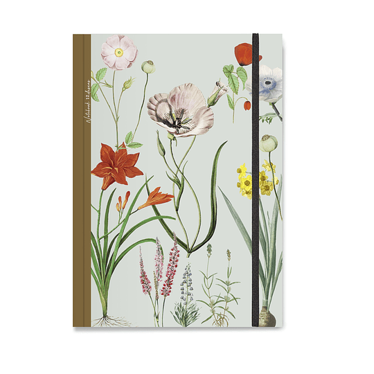 Cuaderno Botánica 12 Deseos