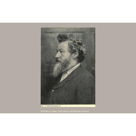 Paperblanks Marcapáginas William Morris, Birds