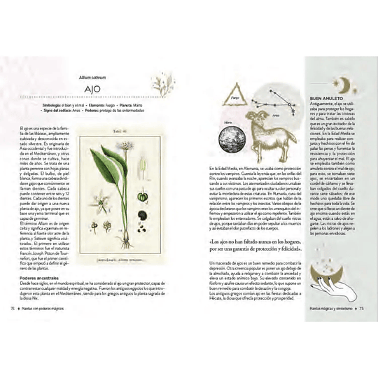 Libro Plantas con Poderes Mágicos