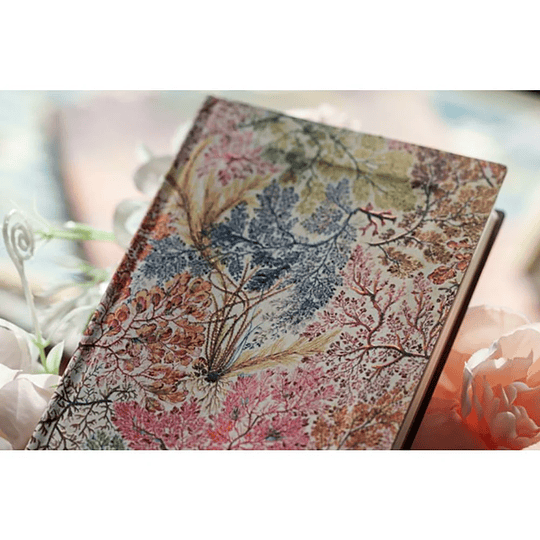 Paperblanks Agenda Midi 2026 Semanal William Kilburn, Anemone