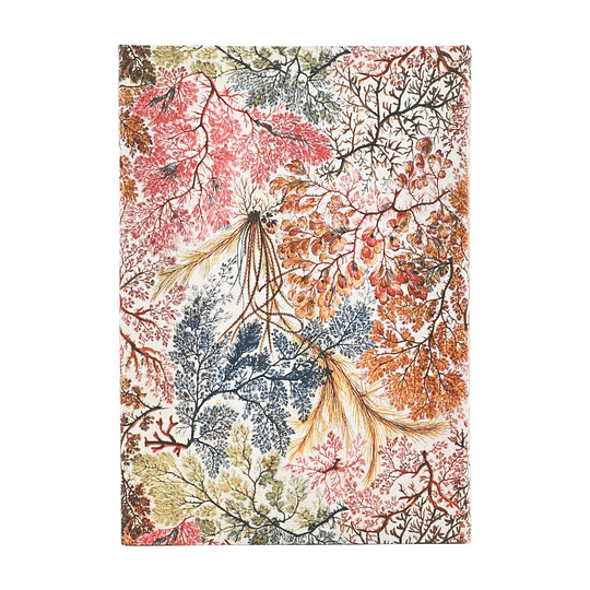 Paperblanks Agenda Midi 2026 Semanal William Kilburn, Anemone