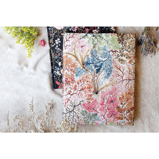 Paperblanks Agenda Midi 2026 Semanal William Kilburn, Anemone