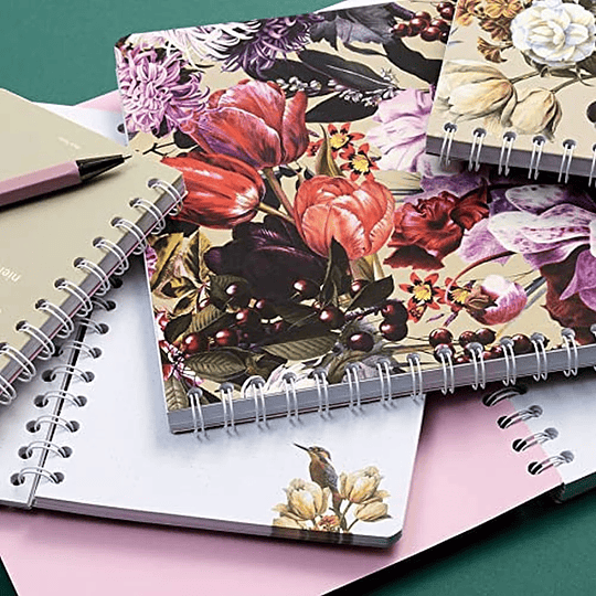 Cedon Libreta Anillada A5 Pájaro de Hielo 