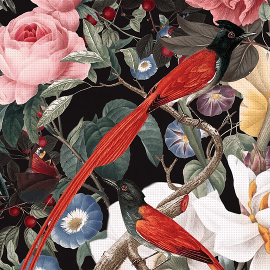 Cedon Libreta Anillada A5 Tapa Dura Red Birdies 