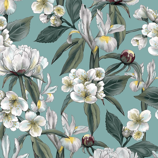 Cedon Libreta Softcover A5 Iris 