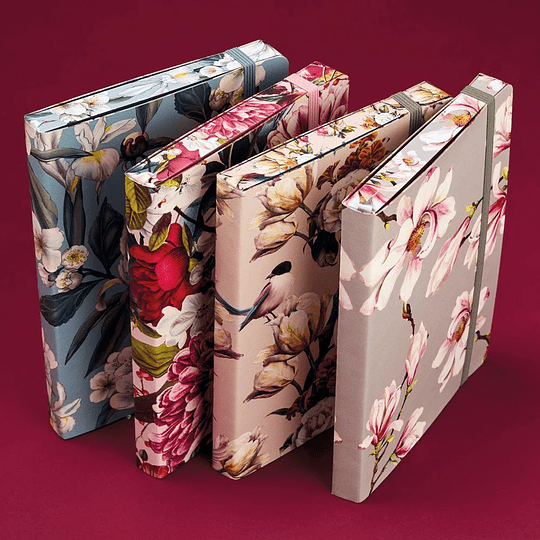 Cedon Libreta Softcover A5 Pájaro de Hielo 