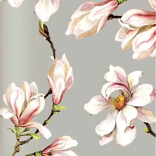 Cedon Taco Escritorio Magnolias