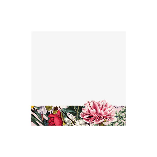 Cedon Taco Escritorio Flower Greeting