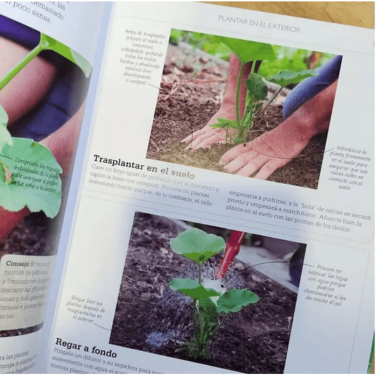 Libro Curso Básico de Cultivo De Fruta y Hortalizas