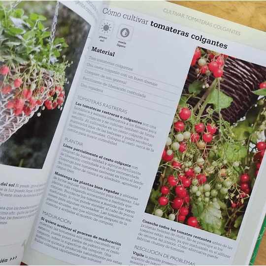 Libro Curso Básico de Cultivo De Fruta y Hortalizas