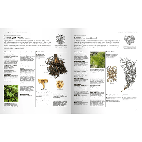 Enciclopedia de Plantas Medicinales