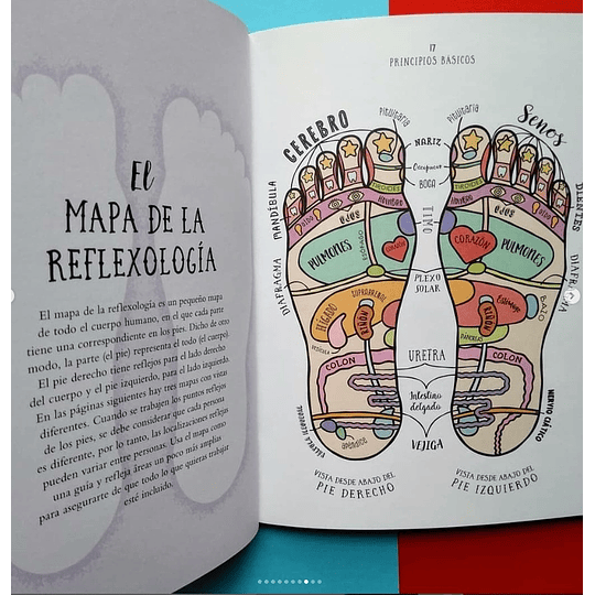 Libro Sanación - Reflexología