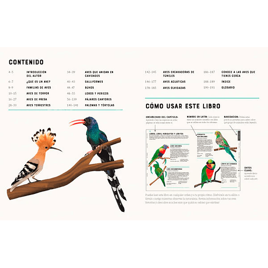 Libro Enciclopedia de las Aves