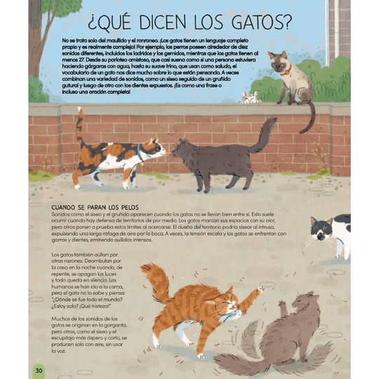 Libro Un Mundo de Gatos