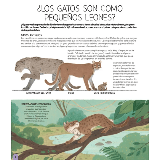 Libro Un Mundo de Gatos