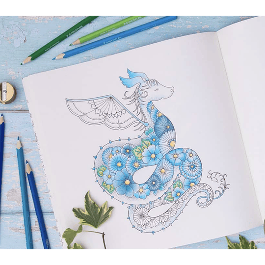 Libro Mundos Mágicos